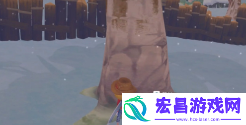波西亚时光水果沙拉做法