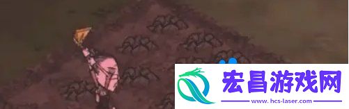 种地方法介绍