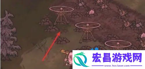 种地方法介绍