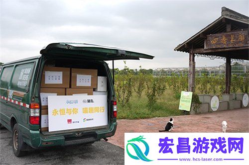 永恒之塔携手玩家登陆“上海猫岛”参与公益项目关爱社区流浪猫