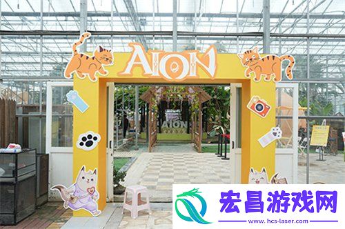 永恒之塔携手玩家登陆“上海猫岛”参与公益项目关爱社区流浪猫