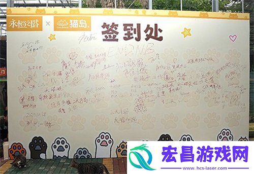 永恒之塔携手玩家登陆“上海猫岛”参与公益项目关爱社区流浪猫