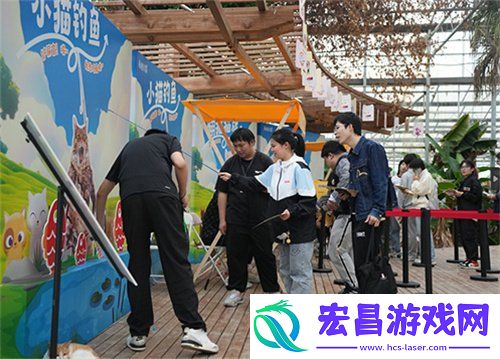 永恒之塔携手玩家登陆“上海猫岛”参与公益项目关爱社区流浪猫