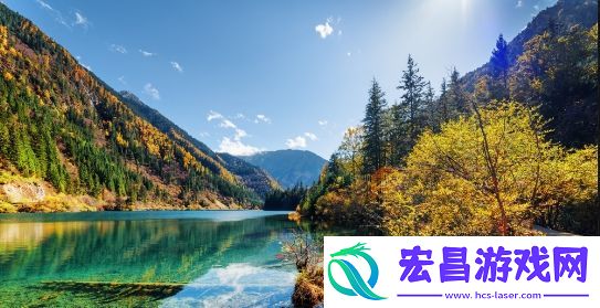 56直播