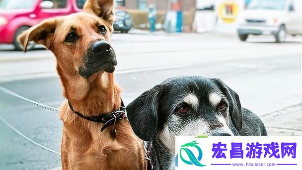 友