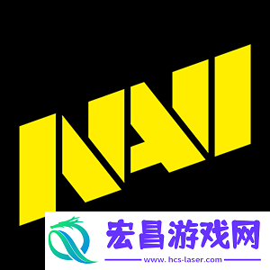 分析师dave点评NAVI现状