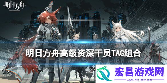 2024最新一览
