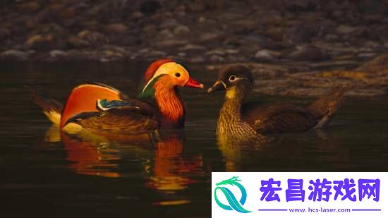 刺客信条影绝美风景欣赏