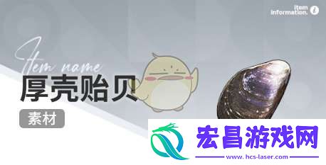 开放空间赶海物什么时间出现