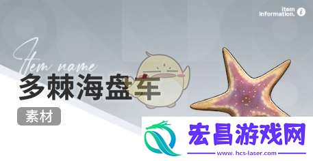 开放空间赶海物什么时间出现