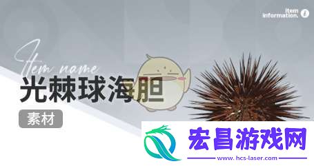 开放空间赶海物什么时间出现