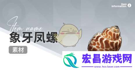 开放空间赶海物什么时间出现