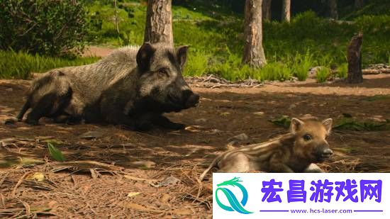 刺客信条影绝美风景欣赏