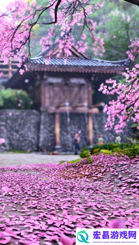 刺客信条影绝美风景欣赏
