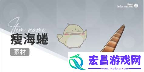 开放空间赶海物什么时间出现