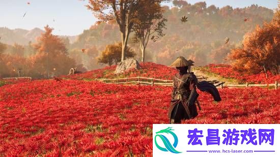 刺客信条影绝美风景欣赏