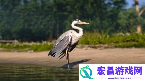 刺客信条影绝美风景欣赏