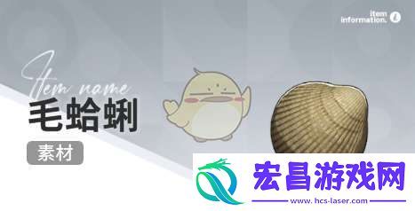 开放空间赶海物什么时间出现