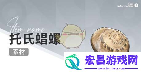 开放空间赶海物什么时间出现