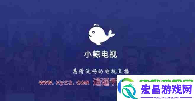 小鲸电视怎么看节目回放