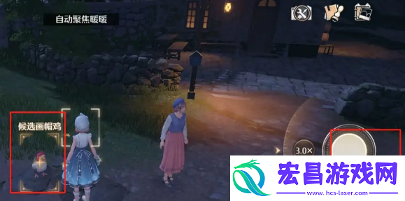 画帽鸡拍照方法