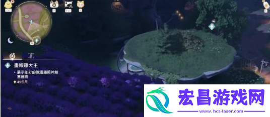 画帽鸡拍照方法