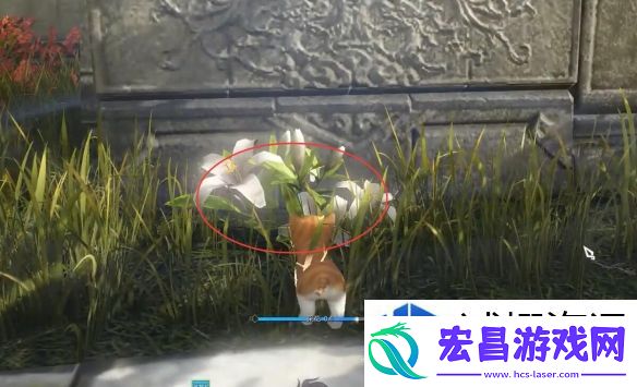 逆水寒奇遇酩酊梦狸怎么做