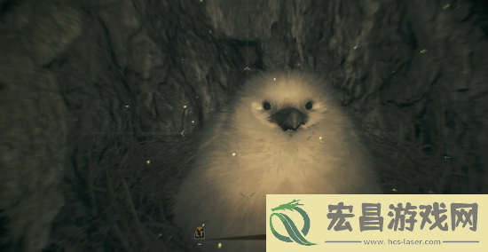 怪物猎人