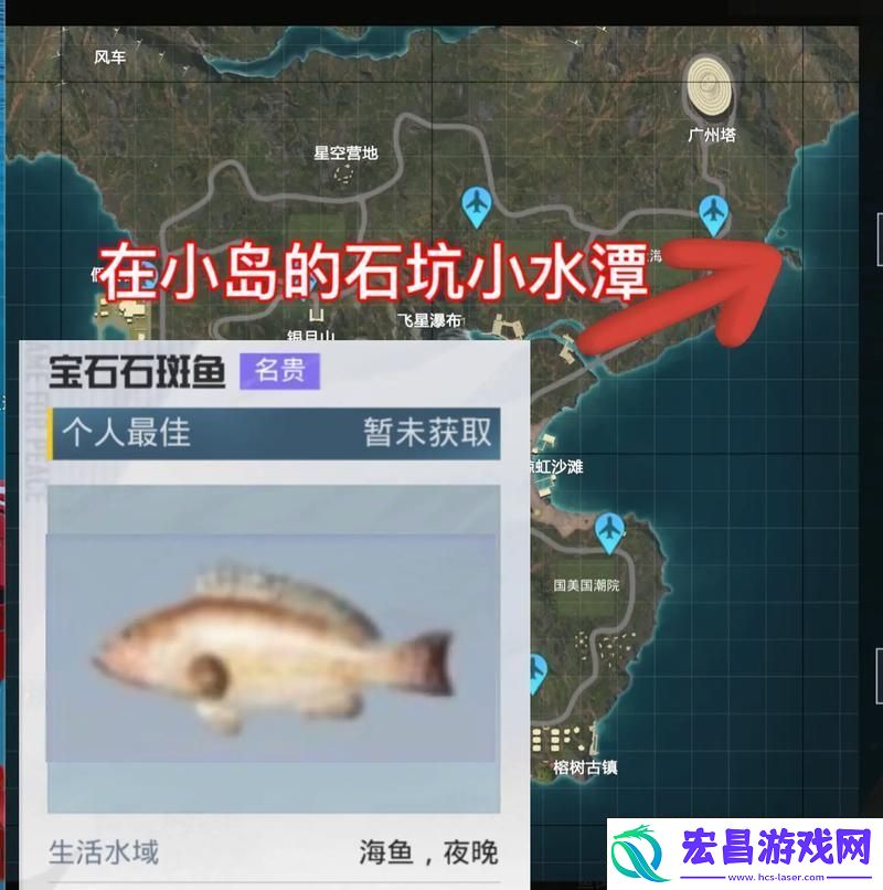钓竿获取全解析