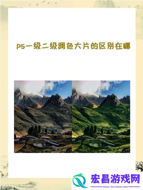 网友