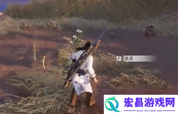 杏花不见获取方法