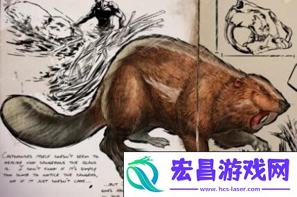 揭秘巨河狸的高效驯服技巧