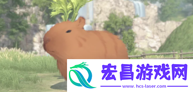 梦想之旅
