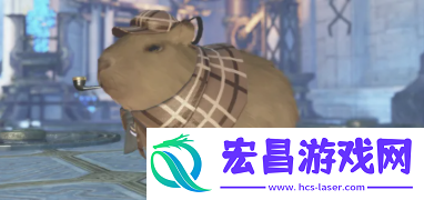梦想之旅