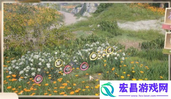 照片调查白日昆虫任务攻略