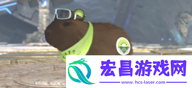 梦想之旅