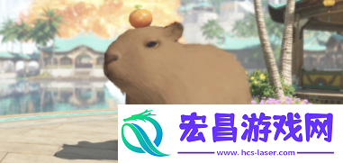 梦想之旅
