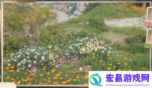 无限暖暖照片调查白日昆虫任务怎么做