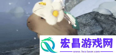 梦想之旅
