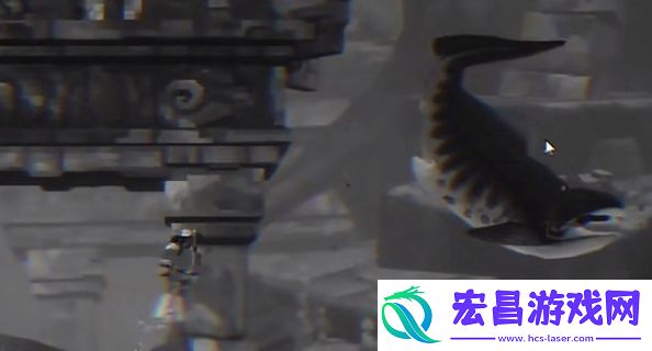 邓氏鱼怎么捕获