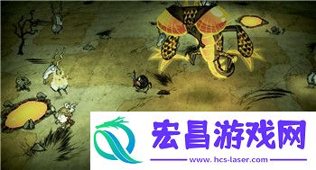 探索游戏特色与玩家评价