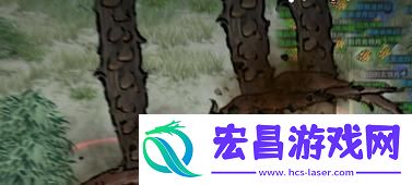 武罗3个记忆选择推荐