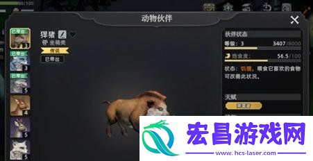 宠物捕获推荐