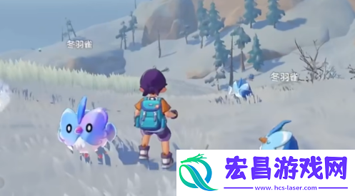 飞行宠物介绍