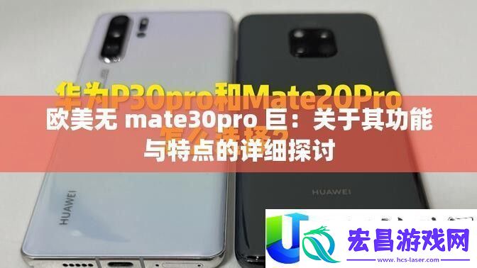 欧美mate30pro巨无霸功能详解与特点对比