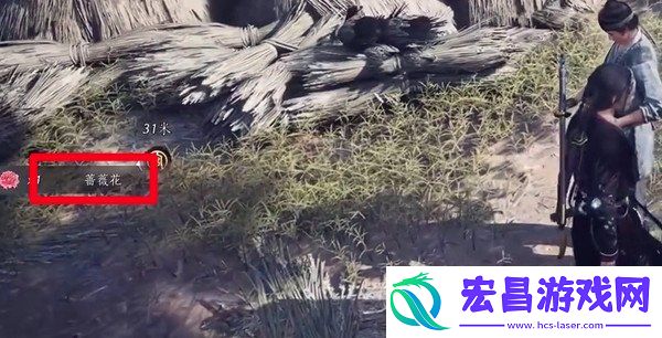 蔷薇风信任务攻略