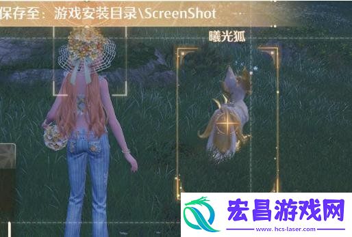 曦光狐具体位置