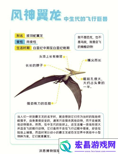 揭秘风神翼龙的踪迹