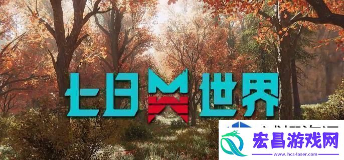 个人风格表达