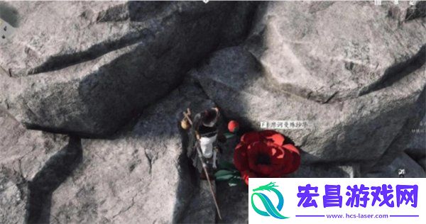 来生岸之一花中愿任务攻略